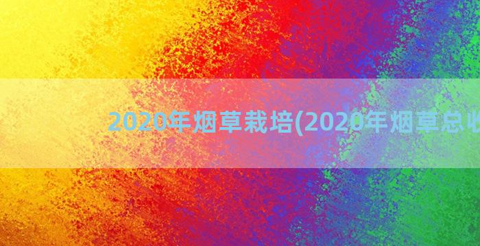 2020年烟草栽培(2020年烟草总收入)