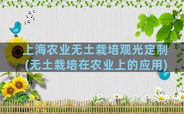 上海农业无土栽培观光定制(无土栽培在农业上的应用)