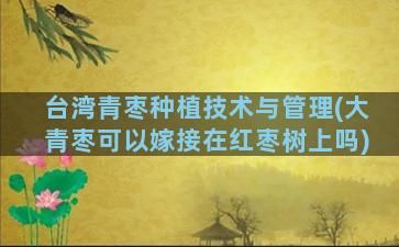 台湾青枣种植技术与管理(大青枣可以嫁接在红枣树上吗)