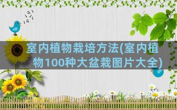 室内植物栽培方法(室内植物100种大盆栽图片大全)