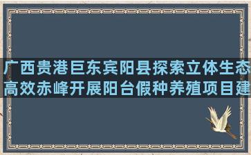 广西贵港巨东宾阳县探索立体生态高效赤峰开展阳台假种养殖项目建议书