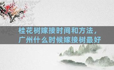 桂花树嫁接时间和方法，广州什么时候嫁接树最好