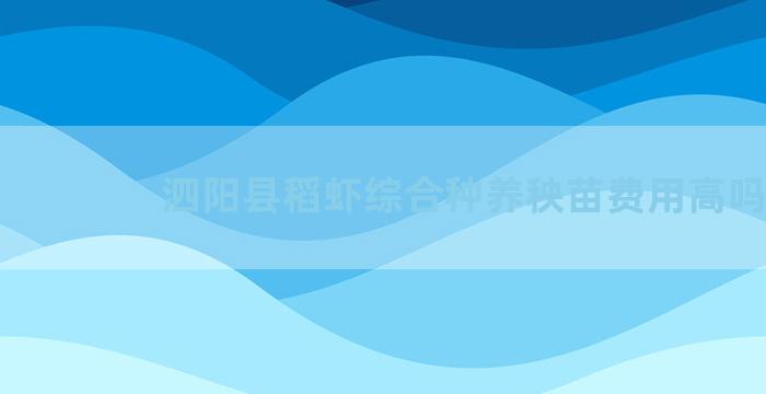 泗阳县稻虾综合种养秧苗费用高吗
