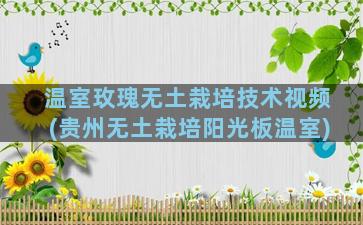 温室玫瑰无土栽培技术视频(贵州无土栽培阳光板温室)
