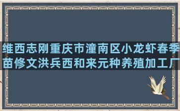 维西志刚重庆市潼南区小龙虾春季苗修文洪兵西和来元种养殖加工厂